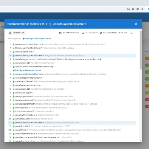 Le site callisto-system-finistere.fr se positionne en haut de Google pour le mot-clé ' traitement mérule Morlaix '
