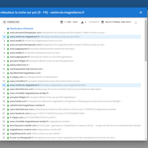Le site centre-du-magnetisme.fr se positionne en haut de Google pour le mot-clé ' rebouteux La Roche sur Yon '