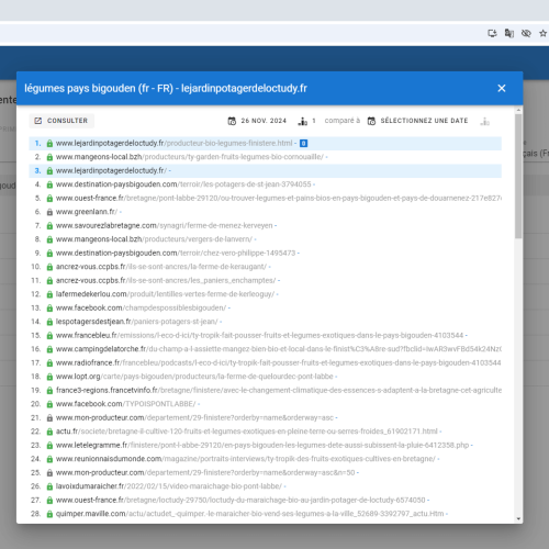 Le site lejardinpotagerdeloctudy.fr se positionne en haut de Google pour le mot-clé ' légumes Pays Bigouden '