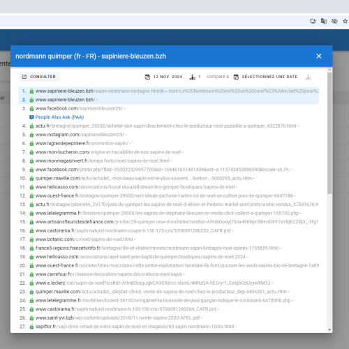 Le site sapiniere-bleuzen.bzh se positionne en haut de Google pour le mot-clé ' nordmann Quimper '