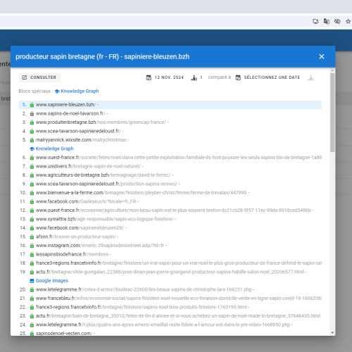 Le site sapiniere-bleuzen.bzh se positionne en haut de Google pour le mot-clé ' producteur sapin Bretagne '