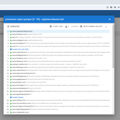 Le site sapiniere-bleuzen.bzh se positionne en haut de Google pour le mot-clé ' producteur sapin Quimper '