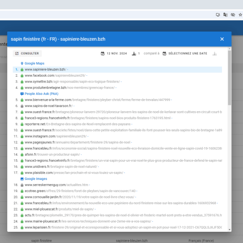 Le site sapiniere-bleuzen.bzh se positionne en haut de Google pour le mot-clé ' sapin Finistère '
