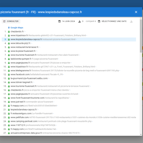 Le site lespiedsdansleau-capcoz.fr se positionne en haut de Google pour le mot-clé ' pizzeria Fouesnant '