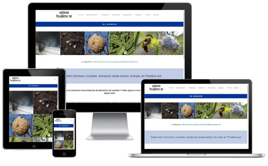 Création site web entreprise